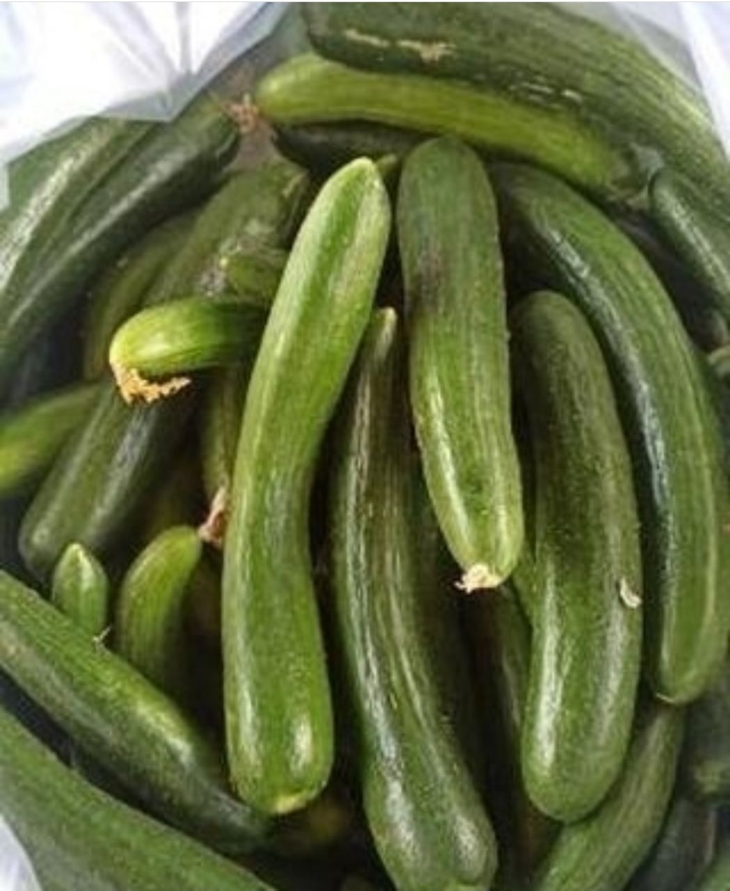 اورکا 5