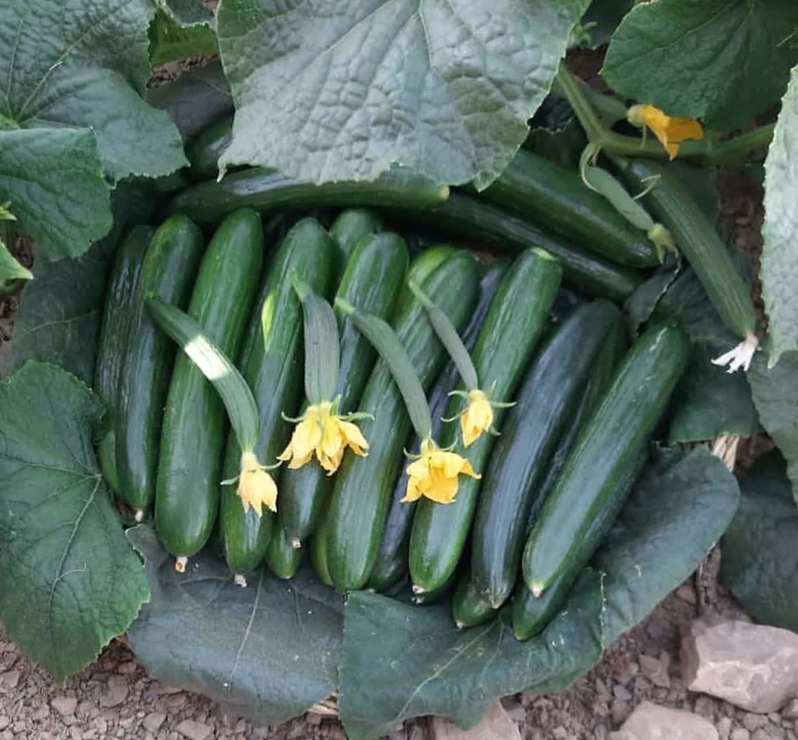 IMG_20230714_135830_100