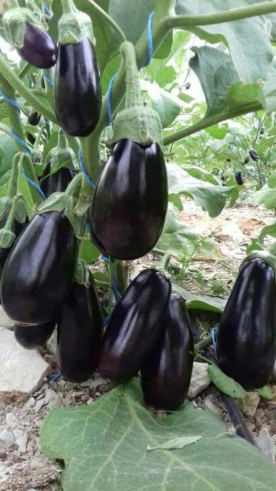 IMG_20230714_140906_088