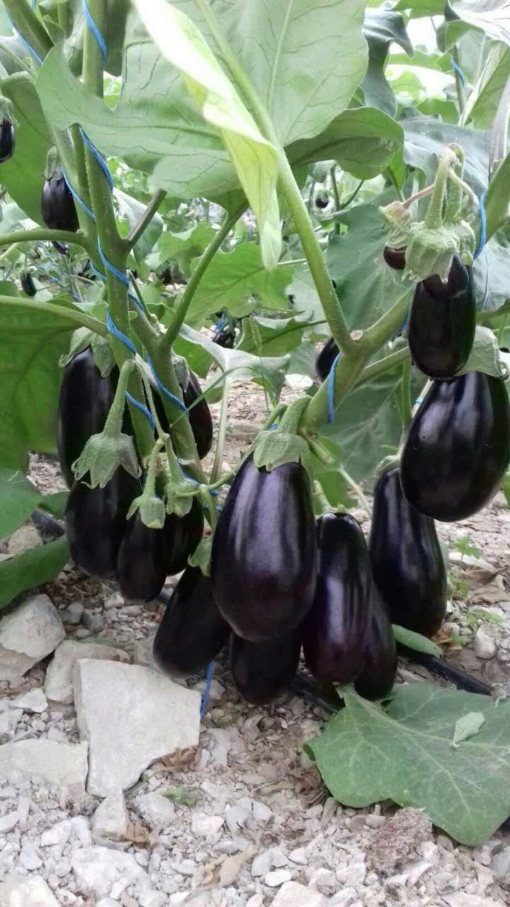 IMG_20230714_141041_839