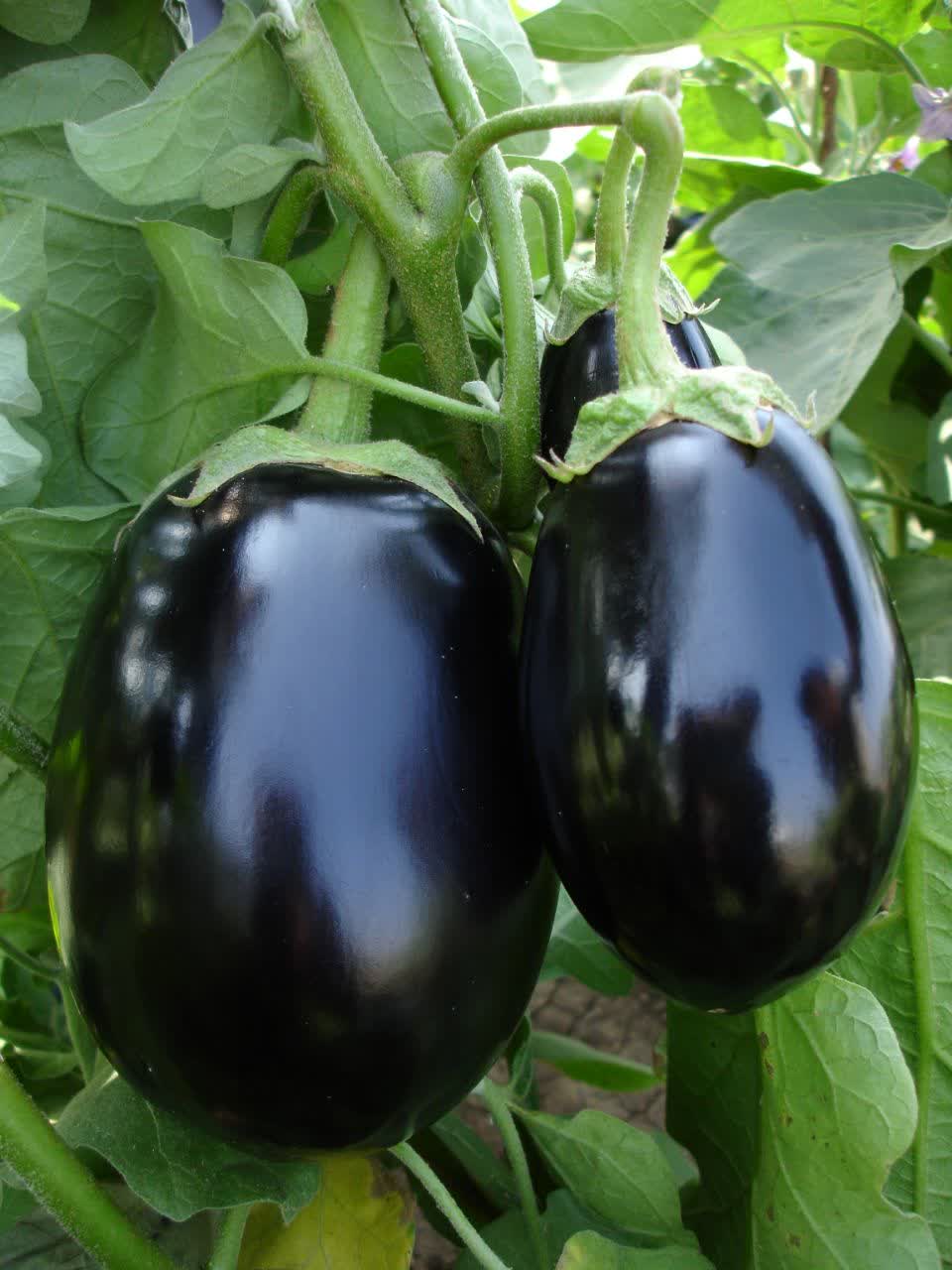 IMG_20230714_163401_035