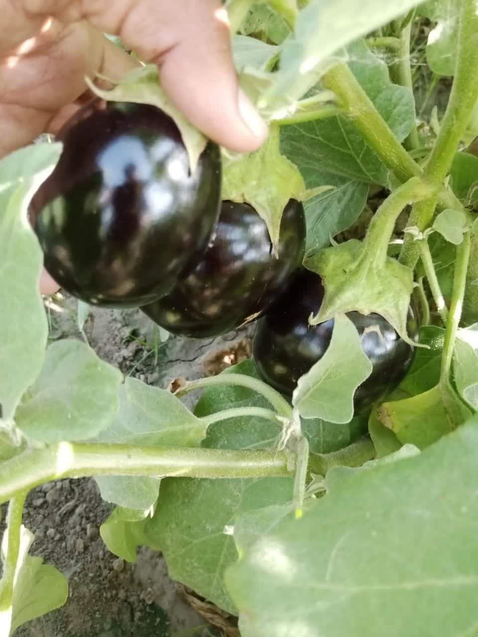 IMG_20230714_163721_985