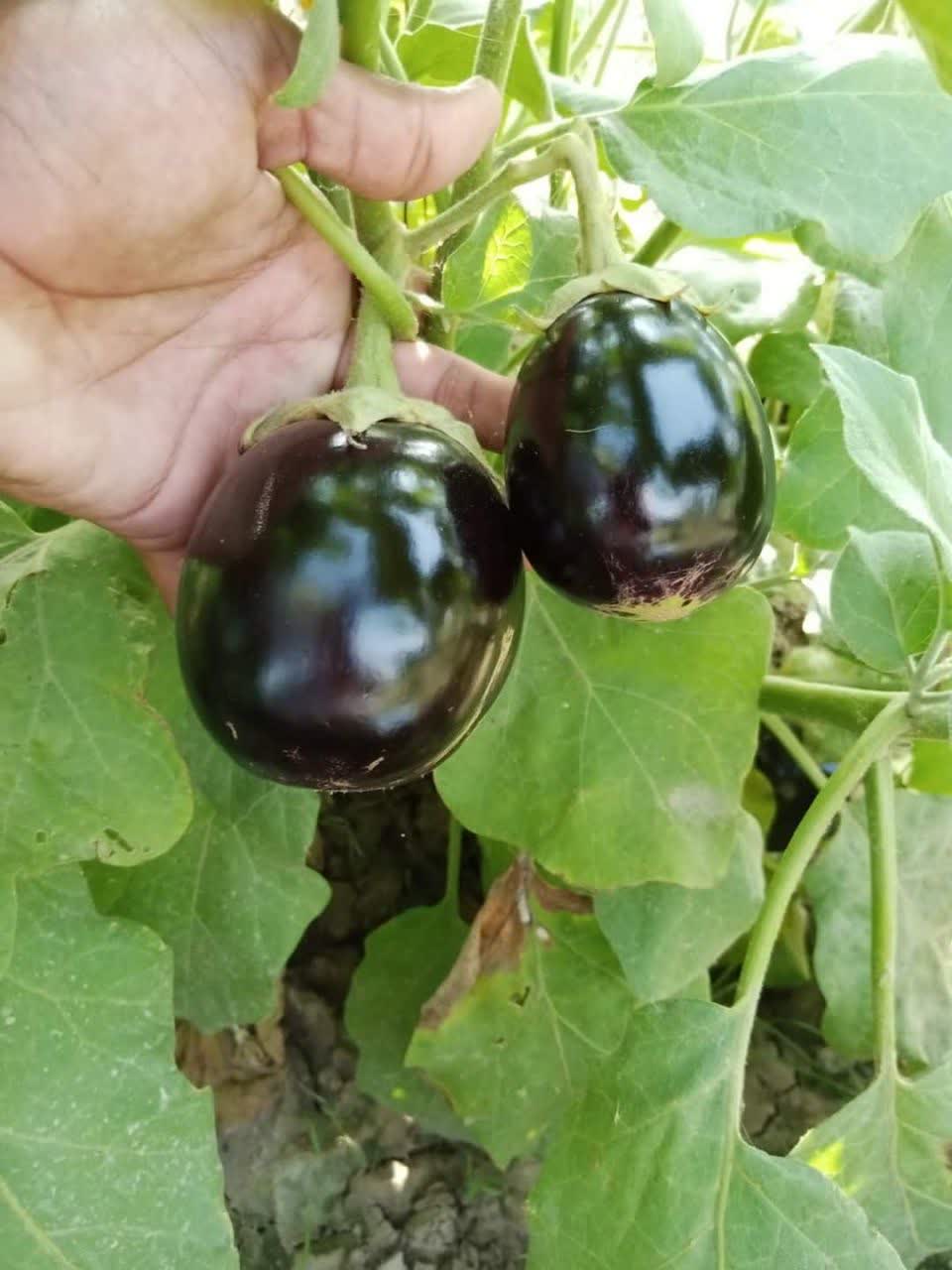 IMG_20230714_163724_281