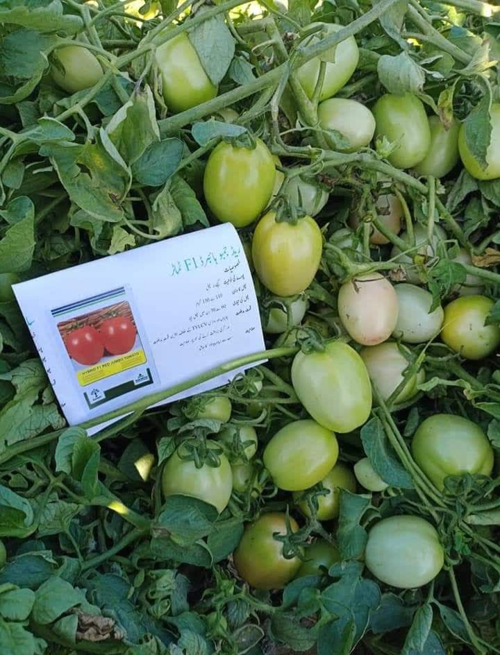 IMG_20230808_215041_606