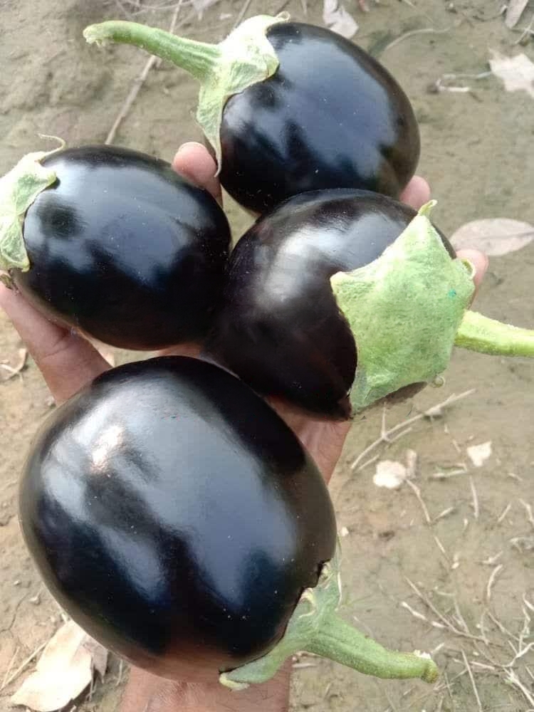 PicsArt_07-14-04.40.12