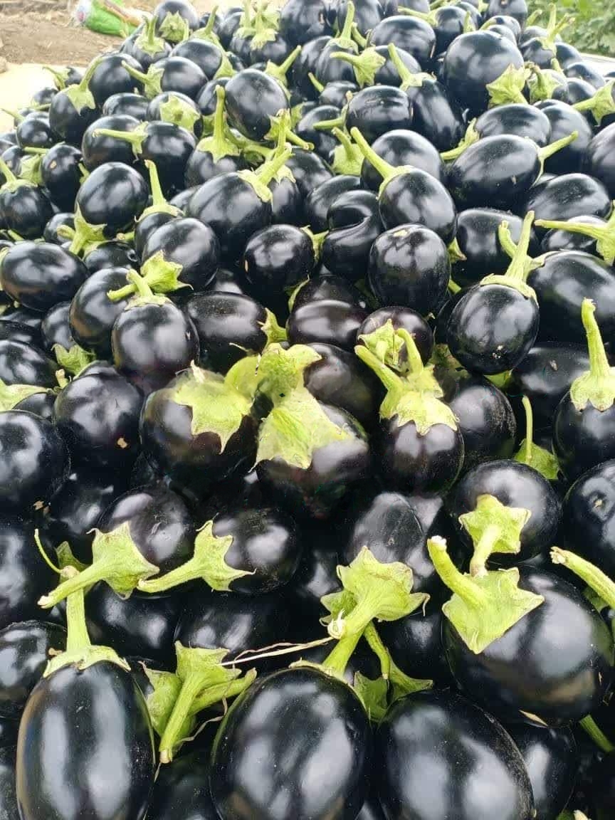 PicsArt_07-14-04.49.42