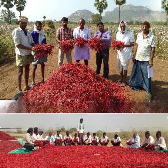 PicsArt_08-06-07.17.50