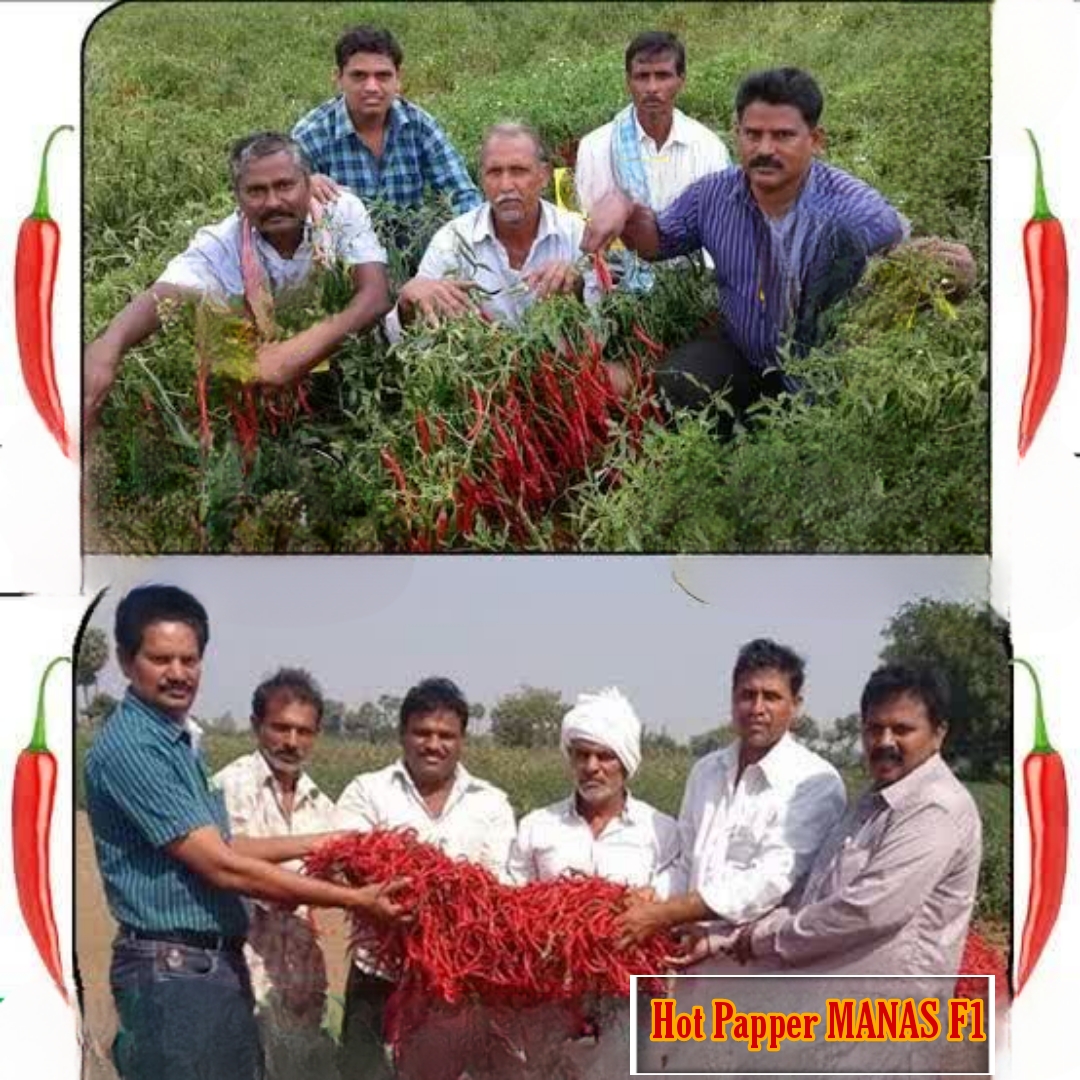 PicsArt_08-06-07.25.51